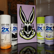 Load image into Gallery viewer, Skull Bugs painting- 6" X 12" CANVAS